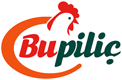 Bupiliç
